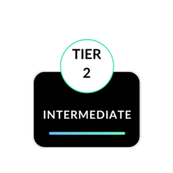 leadership program intermediate tier